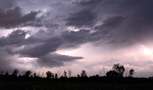 Firefly Field and Lightning small